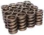 Comp Cams Valve Spring