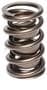 Comp Cams Valve Spring