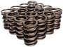 Comp Cams Valve Spring Kit