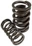 Comp Cams Elite Drag Race Valve Spring Set