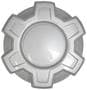 Coast To Coast Wheel Center Cap