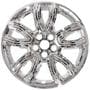 Coast To Coast Impostor Wheel Cover