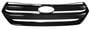 Coast To Coast Plastic Black, Gloss Finish Grille Insert
