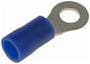 Dorman Conduct-Tite 16-14 Gauge Blue Ring Terminal