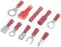 Dorman Conduct-Tite 20-18 Gauge Terminal Assortment