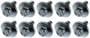 Dorman AutoGrade Transmission Oil Drain Plug