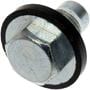 Dorman AutoGrade Oil Drain Plug