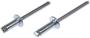 Dorman AutoGrade Rivet Assortment