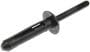 Dorman AutoGrade Multi-Purpose Rivet