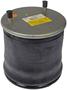 Dayton Parts Air Spring
