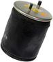 Dayton Parts Air Spring