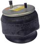 Dayton Parts Air Spring