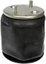 Dayton Parts Air Spring