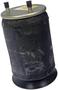 Dayton Parts Air Spring