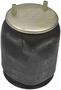 Dayton Parts Air Spring
