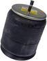 Dayton Parts Air Spring