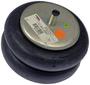 Dayton Parts Air Spring