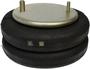 Dayton Parts Air Spring