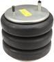 Dayton Parts Air Spring