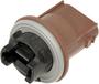 Dorman TECHoice 3 Terminal Turn Signal Socket