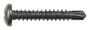 Disco Automotive Screw