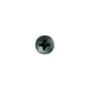 Disco Automotive #8 Thread Phillips Pan Screw