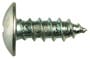 Disco Automotive License Plate Screw