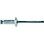 Disco Automotive Window Regulator Peel Rivets