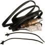 Delphi Automotive Oxygen Sensor