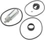 Delphi Automotive Fuel Pump