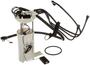 Delphi Automotive Fuel Pump Module Assembly