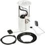 Delphi Automotive Fuel Pump Module Assembly