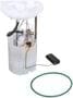 Delphi Automotive Fuel Pump Module Assembly