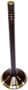 DNJ Engine Components Exhaust Valve