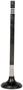 DNJ Engine Components Exhaust Valve