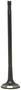 DNJ Engine Components Exhaust Valve