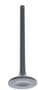DNJ Engine Components Exhaust Valve