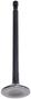 DNJ Engine Components Exhaust Valve