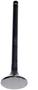DNJ Engine Components Exhaust Valve
