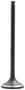 DNJ Engine Components Exhaust Valve