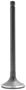 DNJ Engine Components Exhaust Valve