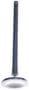 DNJ Engine Components Exhaust Valve