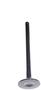DNJ Engine Components Exhaust Valve