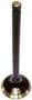 DNJ Engine Components Exhaust Valve
