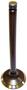 DNJ Engine Components Exhaust Valve