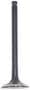 DNJ Engine Components Exhaust Valve