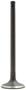 DNJ Engine Components Exhaust Valve