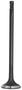 DNJ Engine Components Exhaust Valve