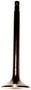 DNJ Engine Components Exhaust Valve