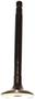 DNJ Engine Components Exhaust Valve